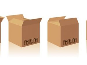 Thùng Carton Size Lớn - 50x40x30 | DVl314