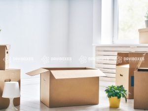 Thùng Carton Size Lớn - 35x30x14 | DVl307