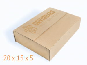Thùng carton 3 lớp 20x15x5 | DV305
