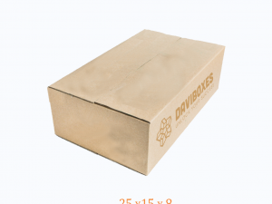 Thùng carton 3 lớp 25x15x8 | DV309