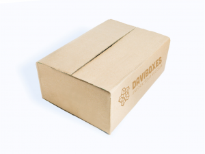 Thùng carton 3 lớp 28x19x10 | DV311